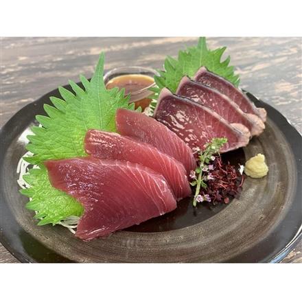 218:静岡 一本釣り鰹尽くし