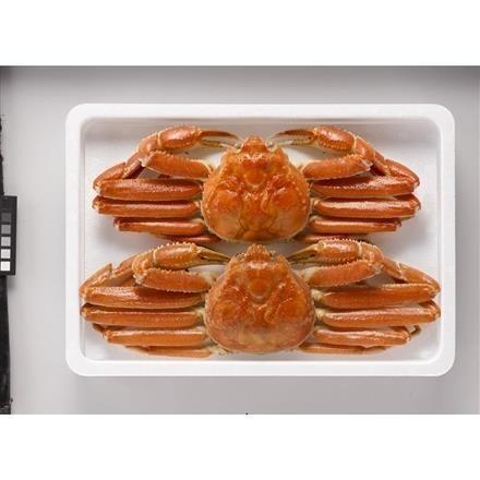 【eギフト】202:ボイルずわいがに姿　450g×2杯