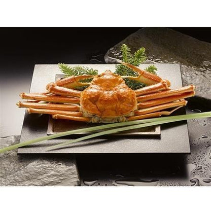 【eギフト】201:ボイルずわいがに姿　500g×1杯（カナダ産）