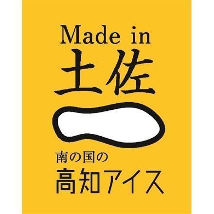 【eギフト】189:高知　Made in 土佐 「南の国の高知アイス」 高知アイスセット